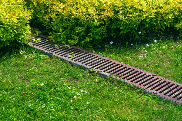 Cost of Lawn Drainage in Georgetown